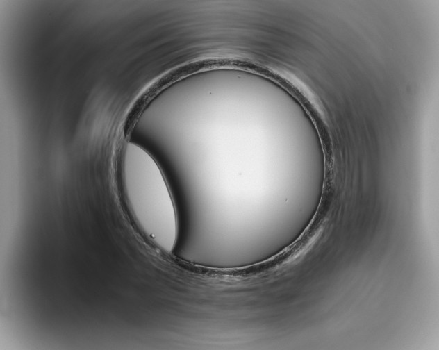 X0000094930783200711291000