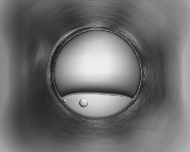X0000094930784200711291000