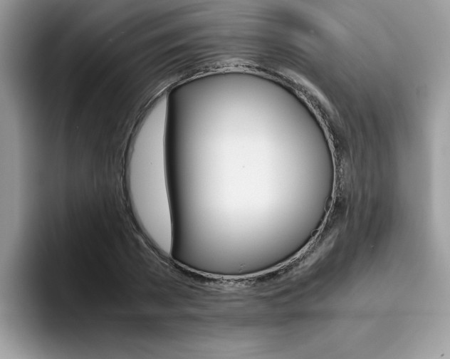 X0000094930785200711291000