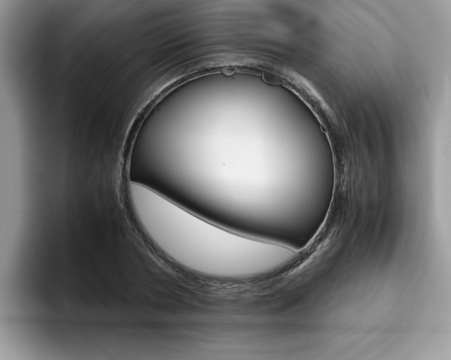 X0000094930786200711291000