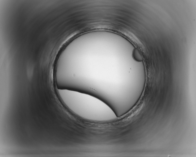 X0000094930790200711291000