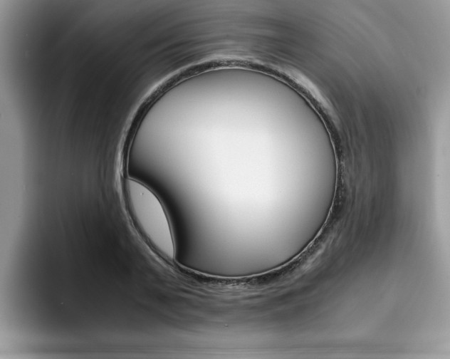 X0000094930791200711291000