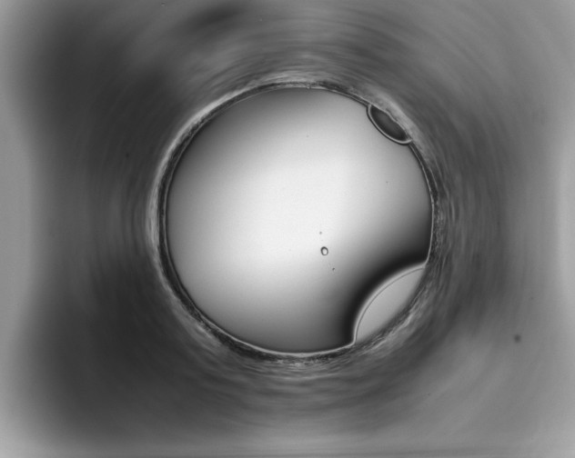 X0000094930795200711291000