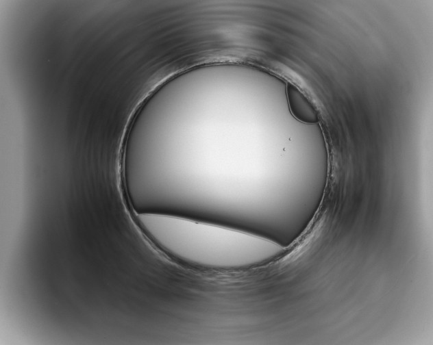 X0000094930802200711291000