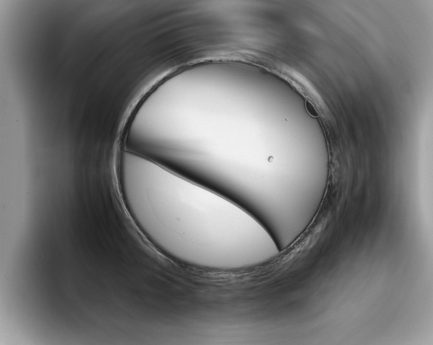 X0000094930804200711291000