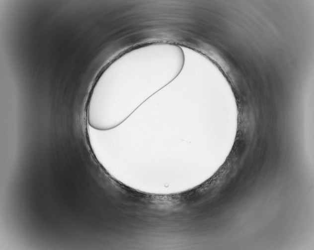 X0000094930807200711291000