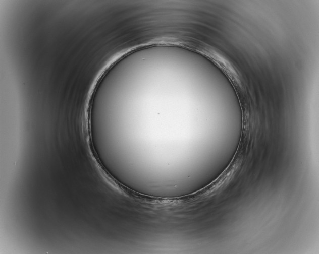 X0000094930808200711291000