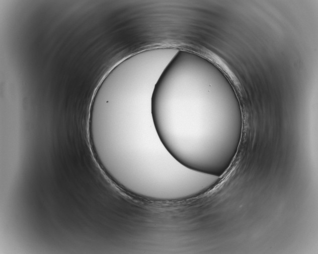 X0000094930810200711291000