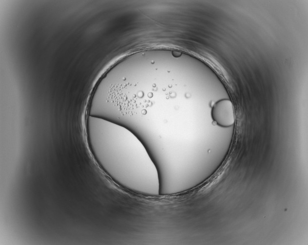 X0000094930814200711291000
