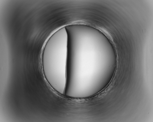 X0000094930816200711291000