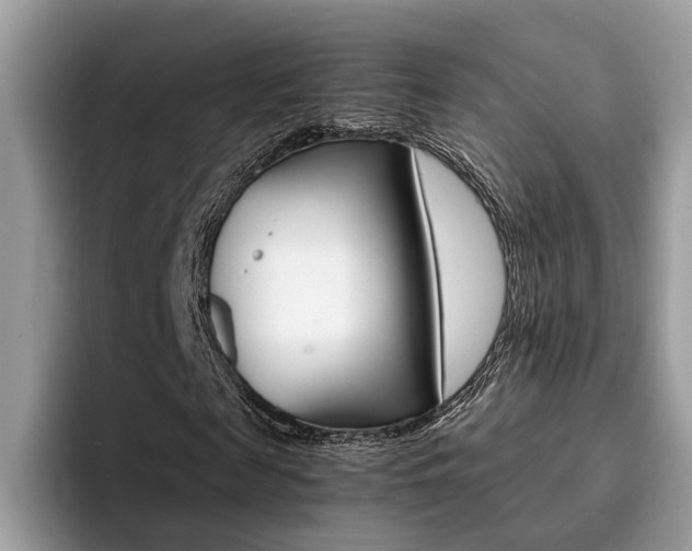 X0000094930817200711290959