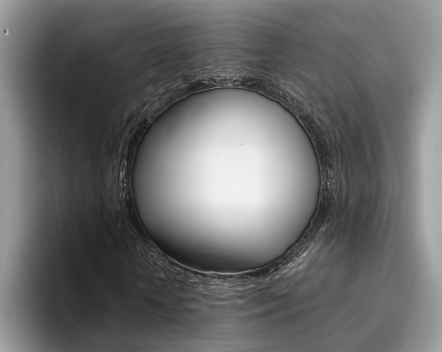 X0000094930818200711290959