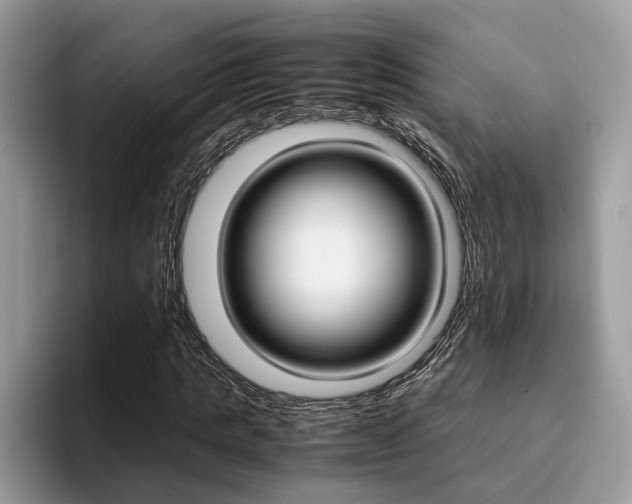 X0000094930821200711290959