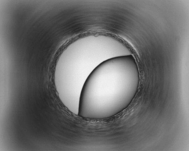 X0000094930823200711290959