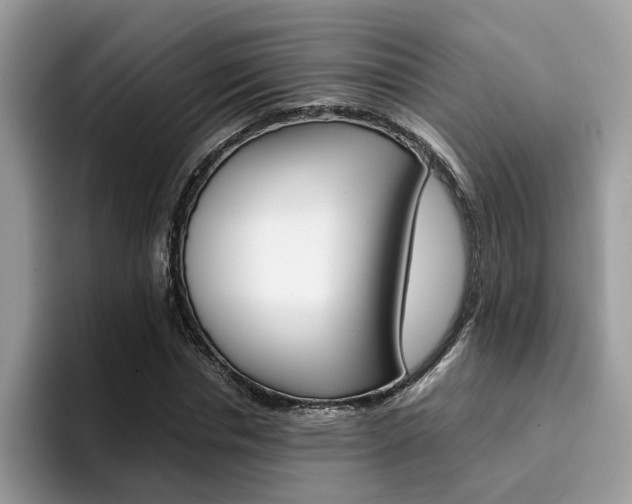 X0000094930826200711290959