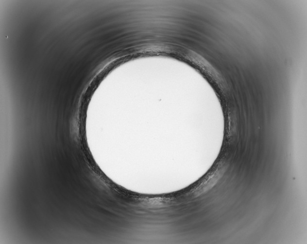 X0000094930828200711290959