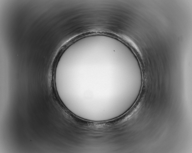 X0000094930831200711290959