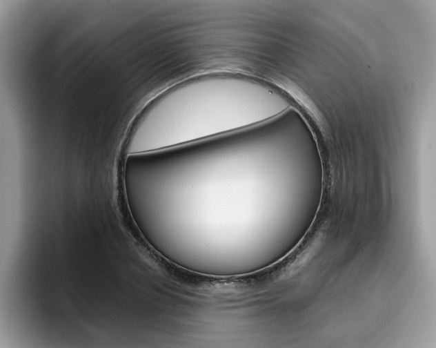 X0000094930834200711290959