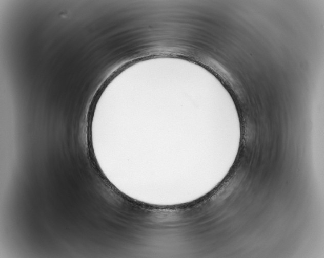 X0000094930836200711290959