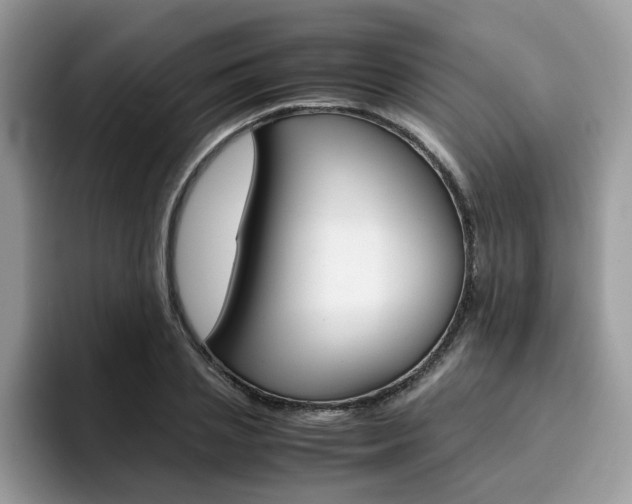 X0000094930837200711290959