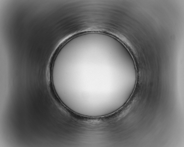 X0000094930838200711290959