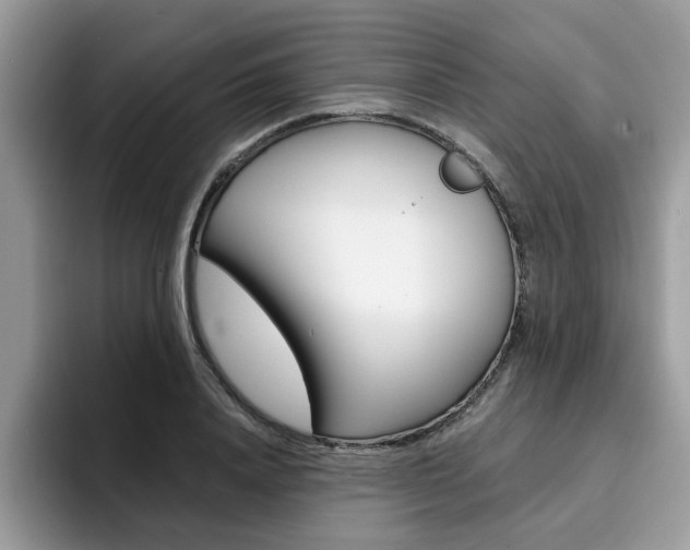 X0000094930840200711290959
