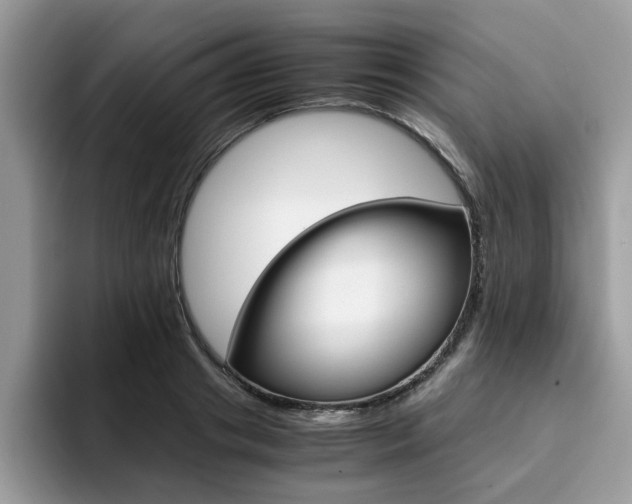 X0000094930841200711290959