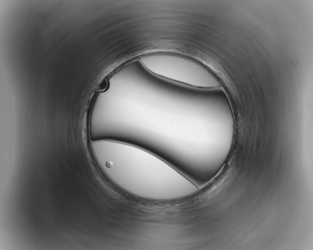 X0000094930842200711290959