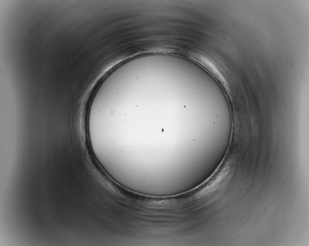 X0000094930843200711290959