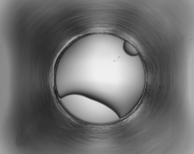 X0000094930844200711290959
