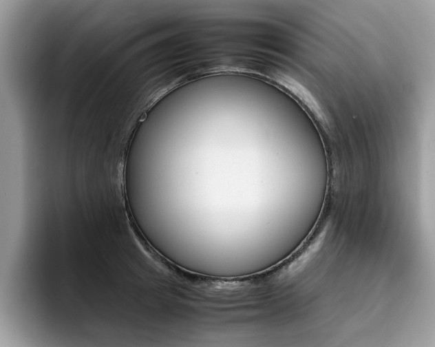 X0000094930849200711290959