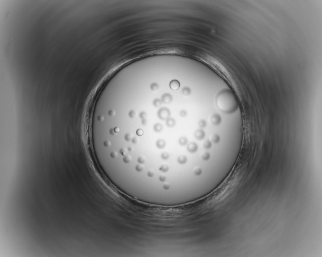X0000094930851200711290959