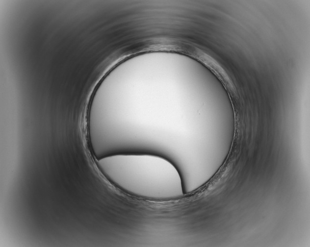 X0000094930852200711290959