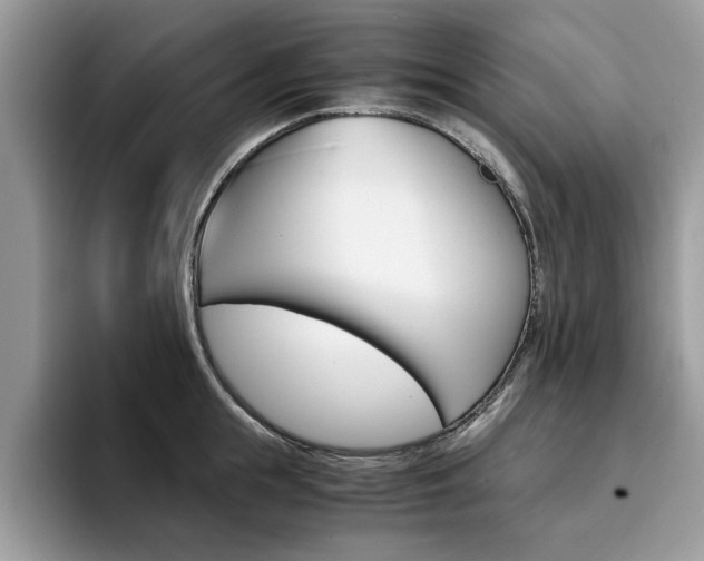 X0000094930855200711290959