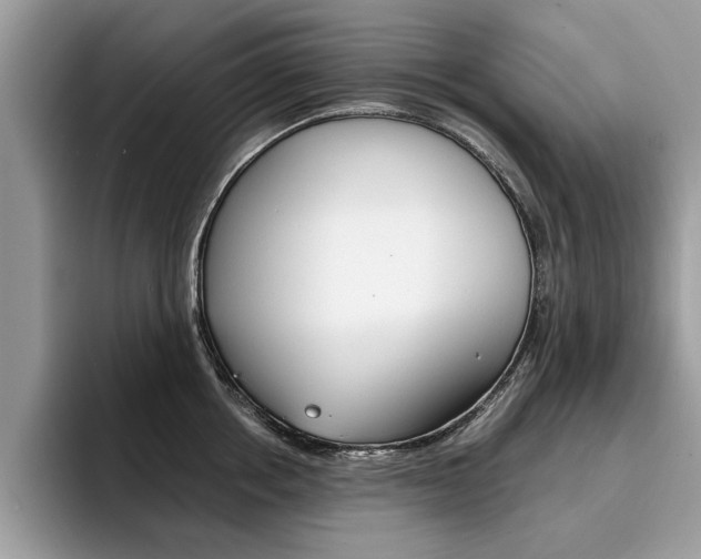 X0000094930858200711290959
