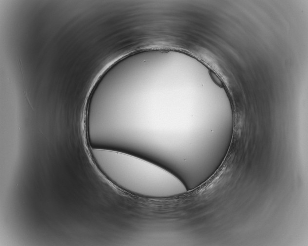 X0000094930863200711291000