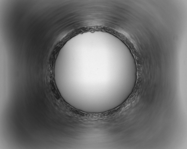 X0000094930871200711290959