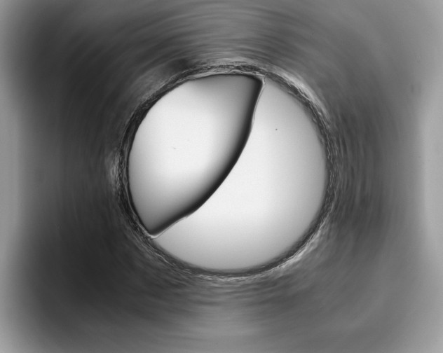 X0000094930873200711290959