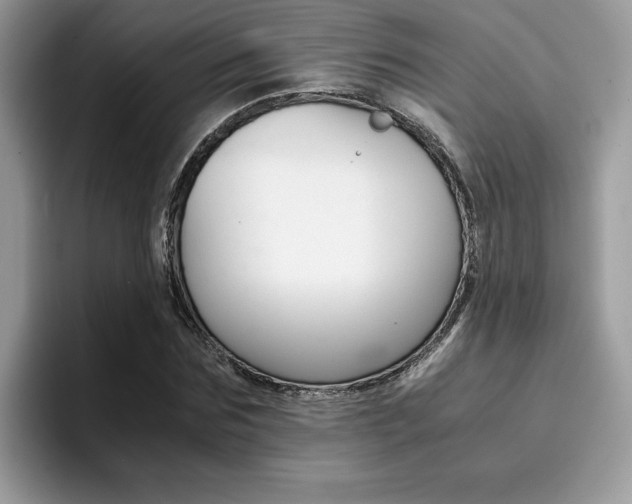 X0000094930875200711290959