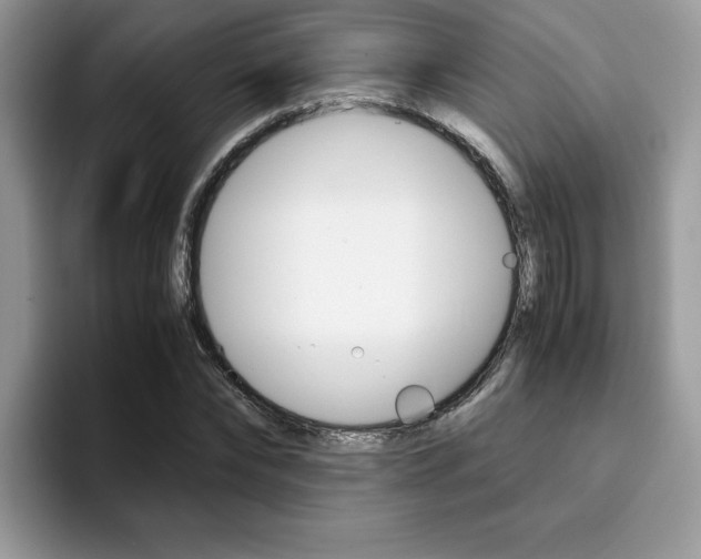 X0000094930878200711290959