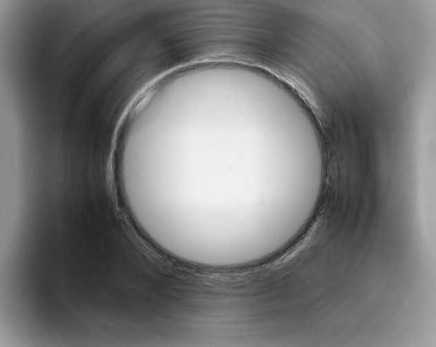 X0000094930880200711290959