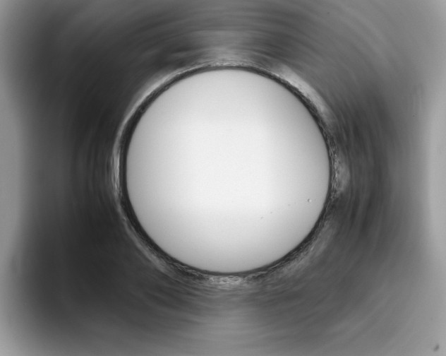 X0000094930886200711290959