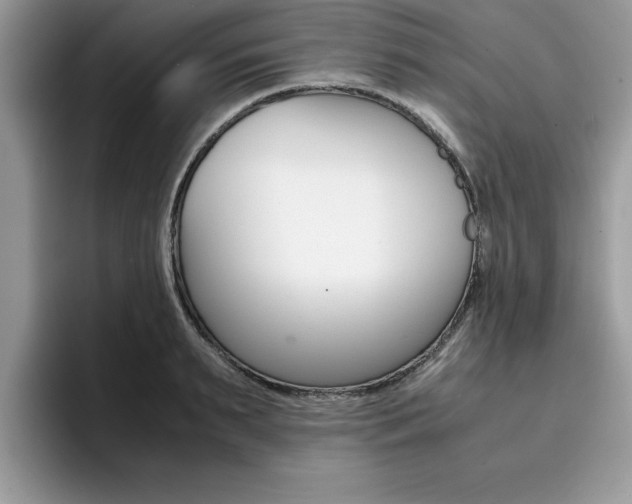 X0000094930895200711290959