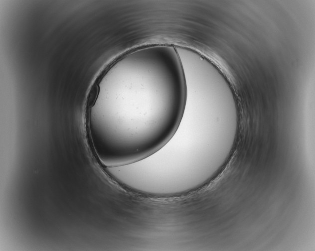 X0000094930896200711290959