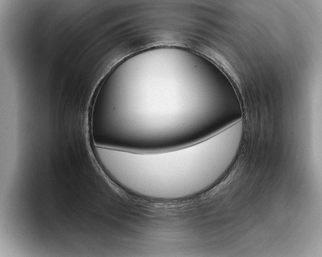 X0000094930898200711290959