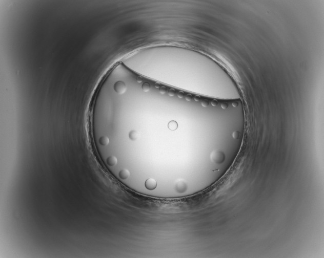 X0000094930899200711290958