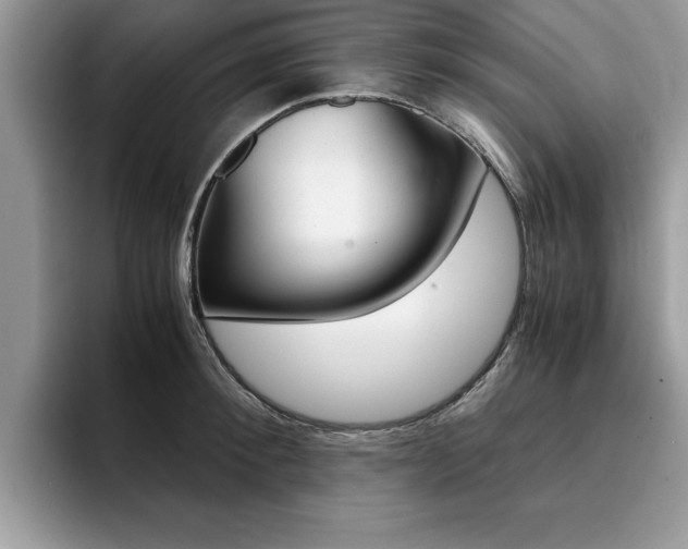 X0000094930900200711290958