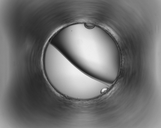 X0000094930902200711290958