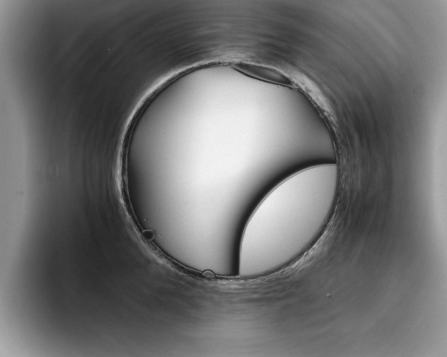 X0000094930904200711290958