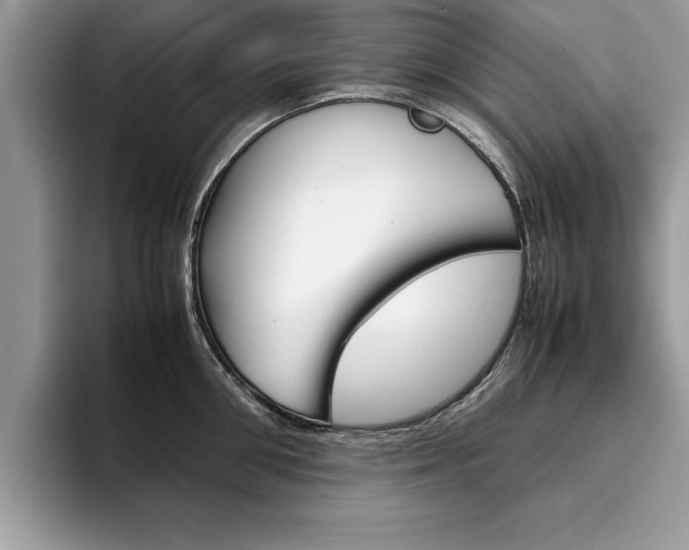 X0000094930906200711290958